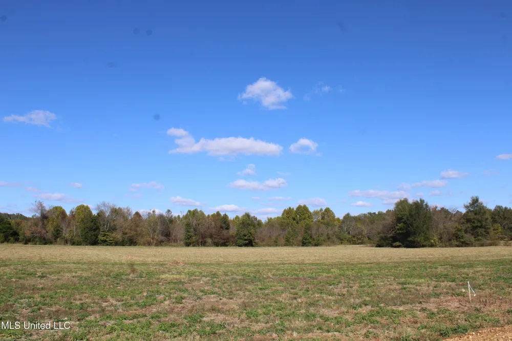 45 Pin Oak Road Michigan City, MS 38647