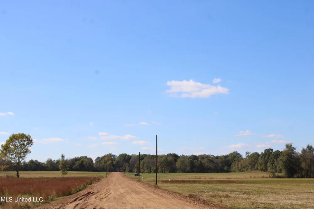 45 Pin Oak Road Michigan City, MS 38647