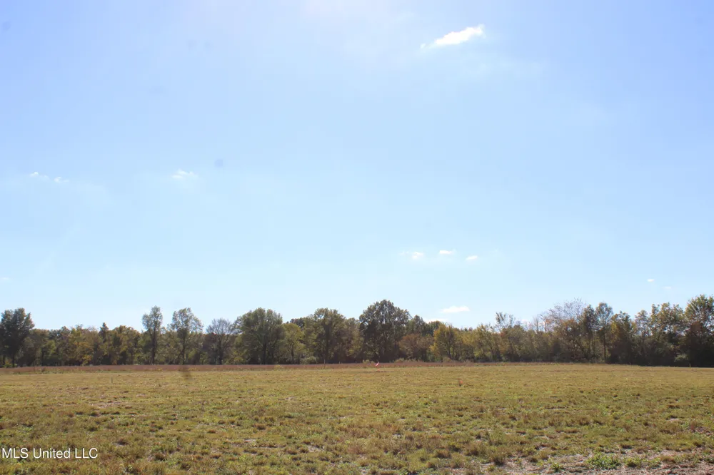 43 Pin Oak Road Michigan City, MS 38647