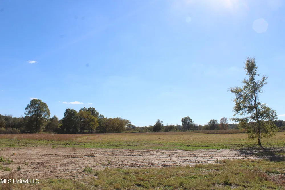 42 Pin Oak Road Michigan City, MS 38647