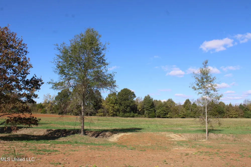 42 Pin Oak Road Michigan City, MS 38647