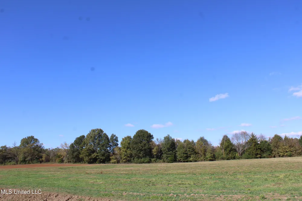 42 Pin Oak Road Michigan City, MS 38647