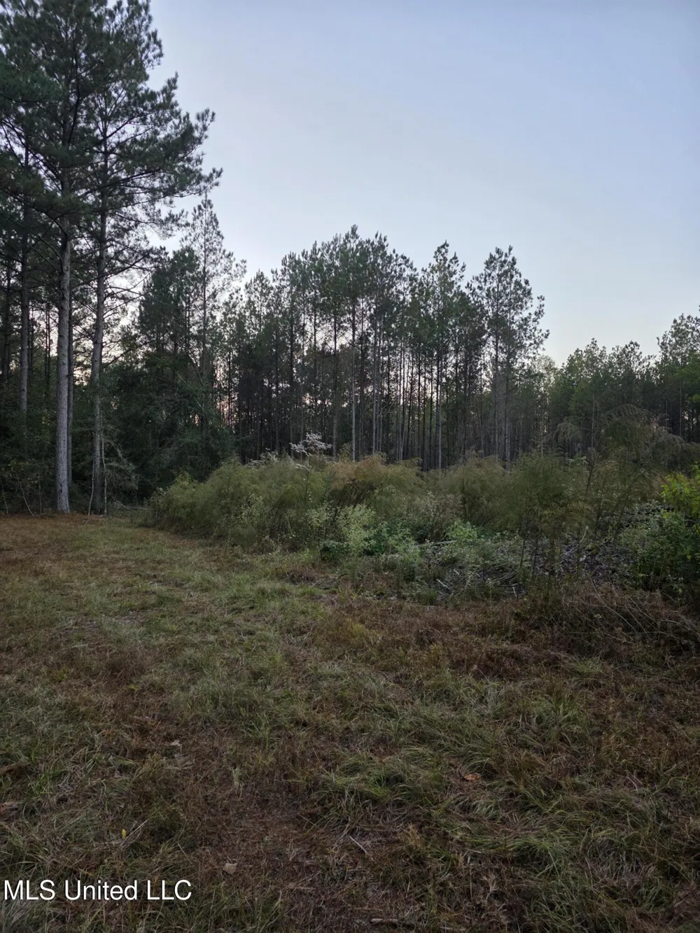 County Rd 77 Mize, MS 39116