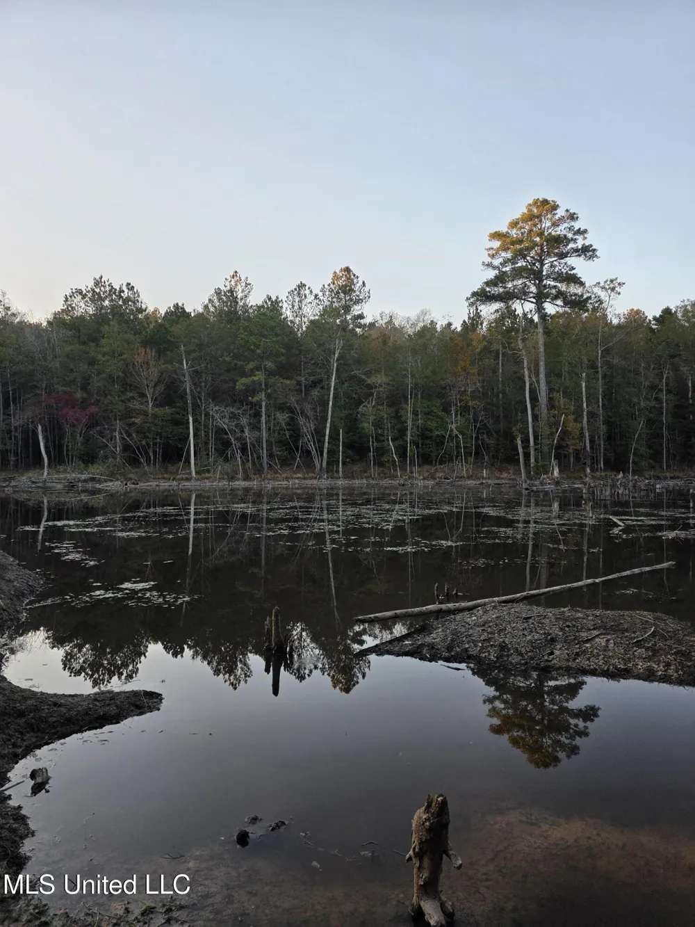 County Rd 77 Mize, MS 39116