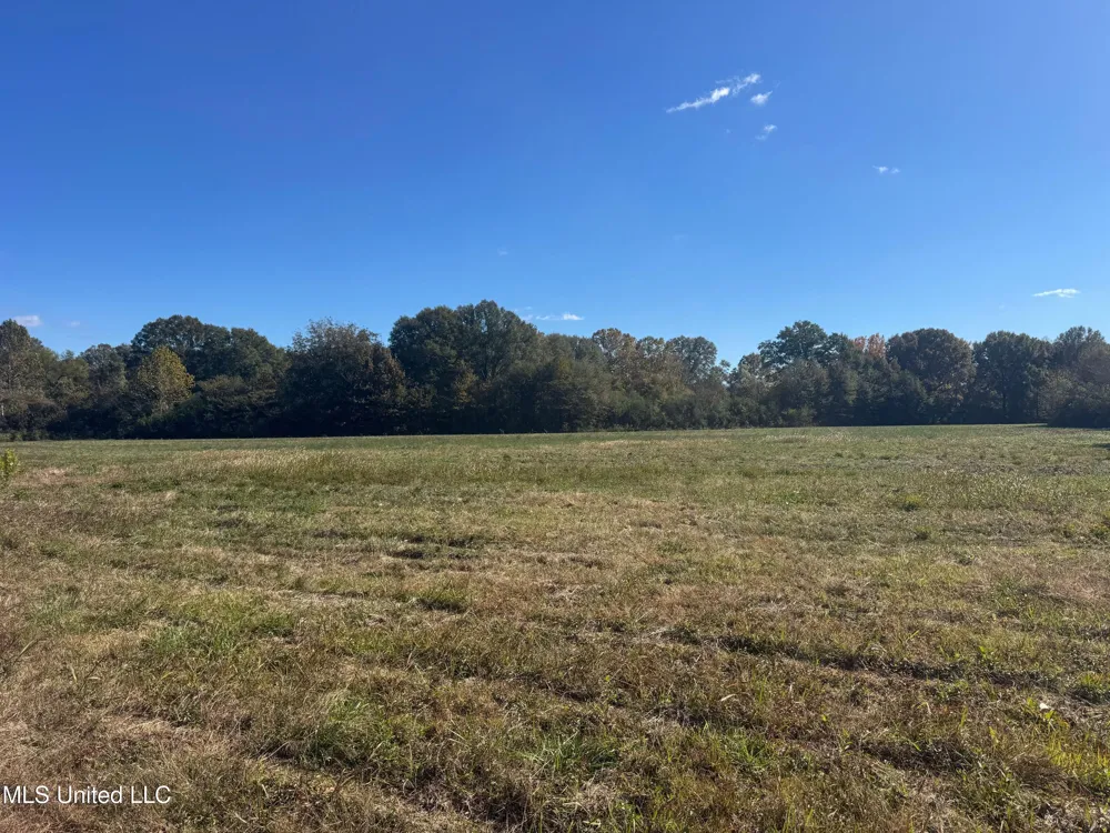 0 Industrial Park Road Winona, MS 38967