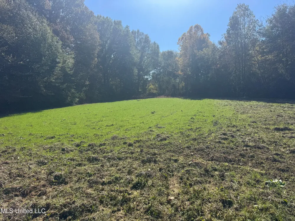 0 Industrial Park Road Winona, MS 38967