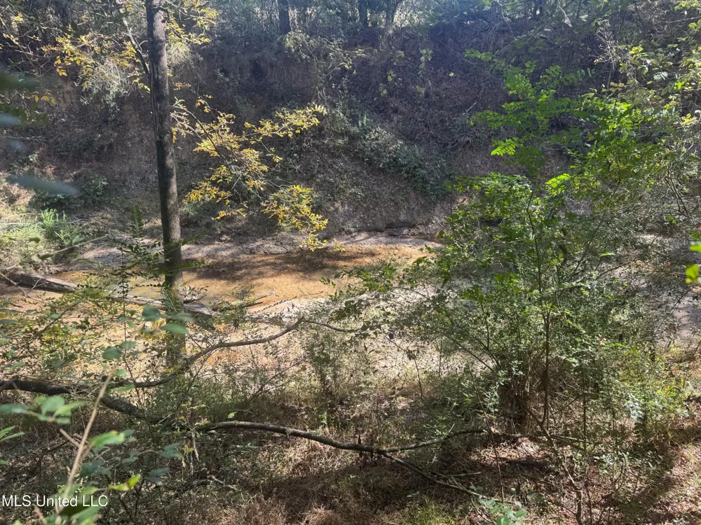 0 Industrial Park Road Winona, MS 38967