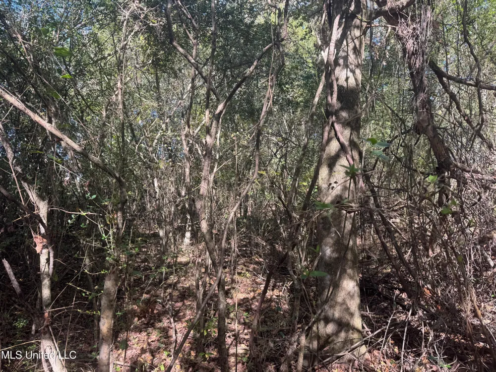 0 Industrial Park Road Winona, MS 38967