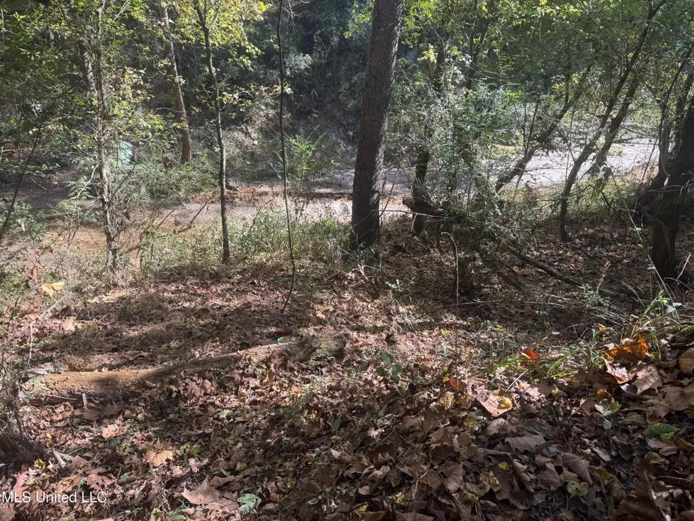 0 Industrial Park Road Winona, MS 38967