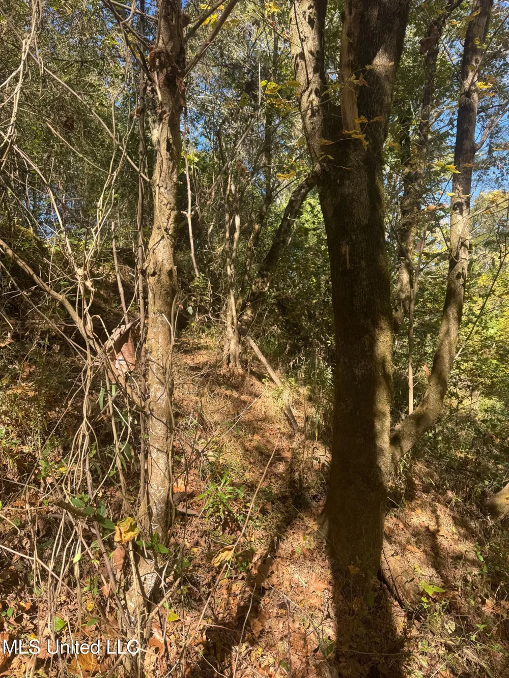 0 Industrial Park Road Winona, MS 38967