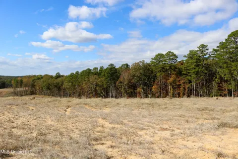 Tract 1 Hugh White State Park Road