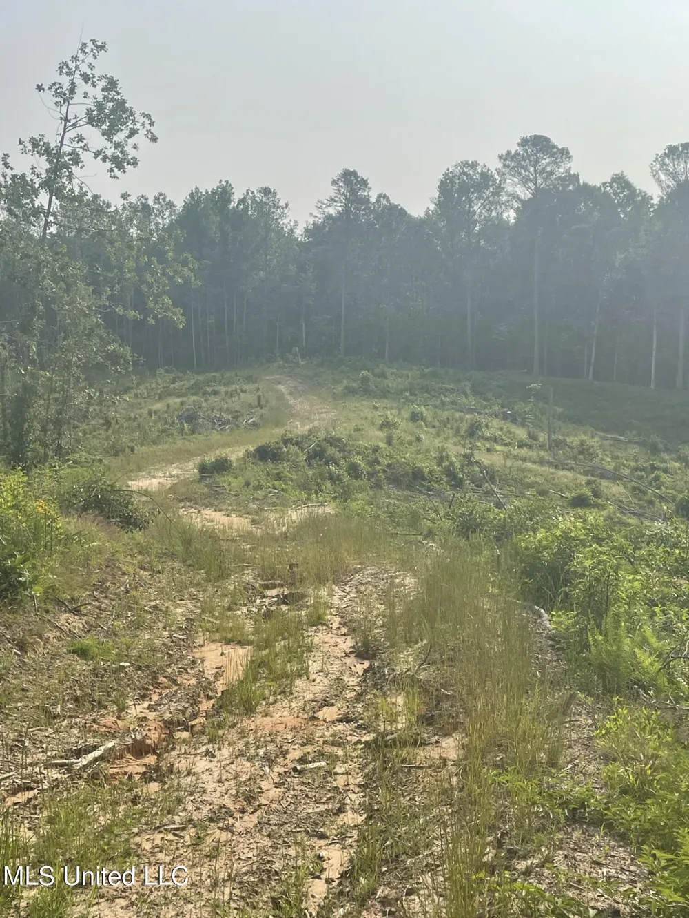 Co Rd 143 Carrollton, MS 38917