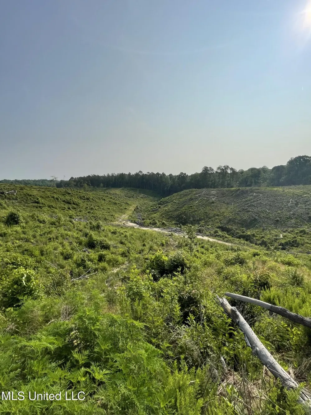 Co Rd 143 Carrollton, MS 38917