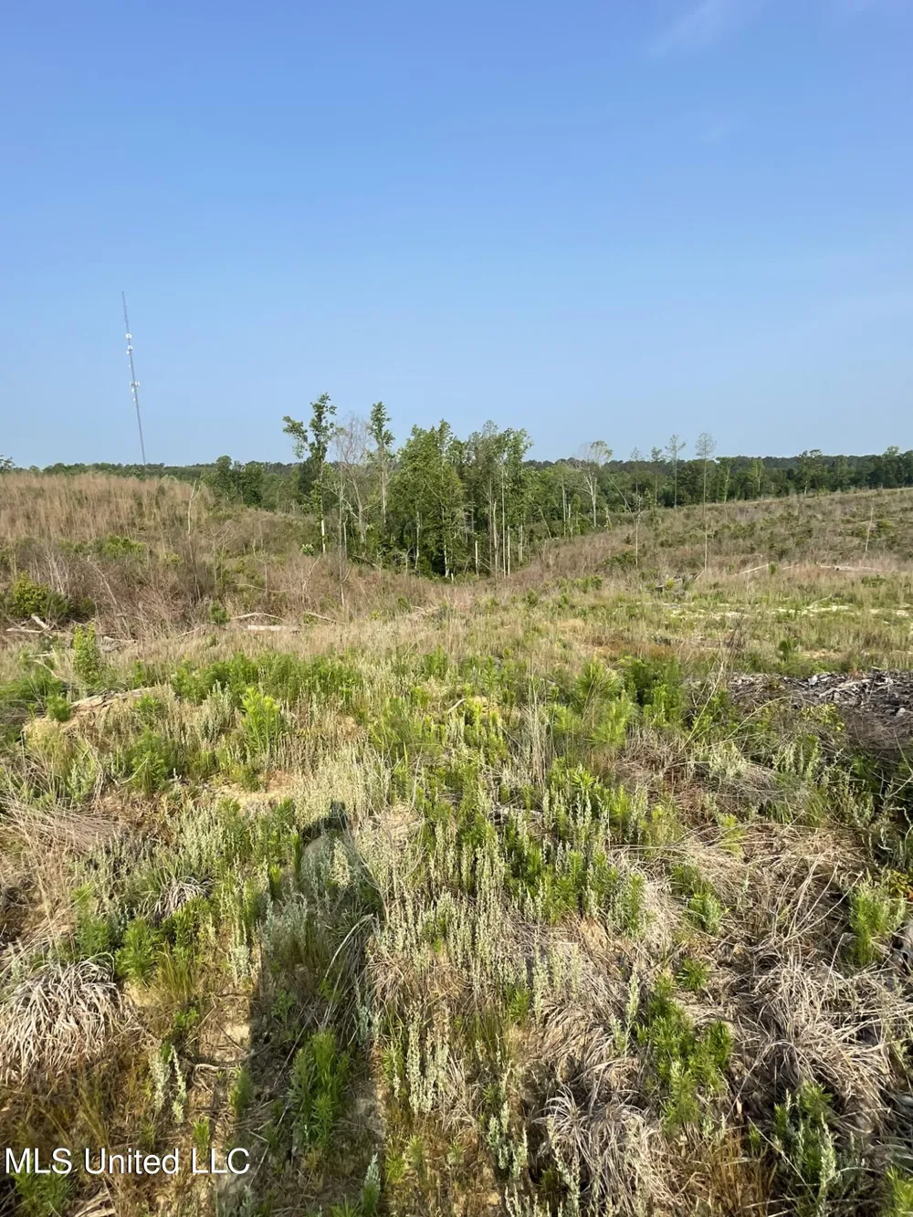 Co Rd 143 Carrollton, MS 38917