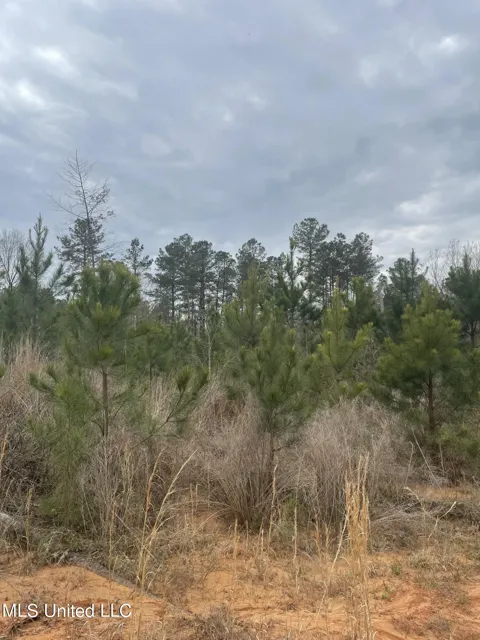 Co Rd 419