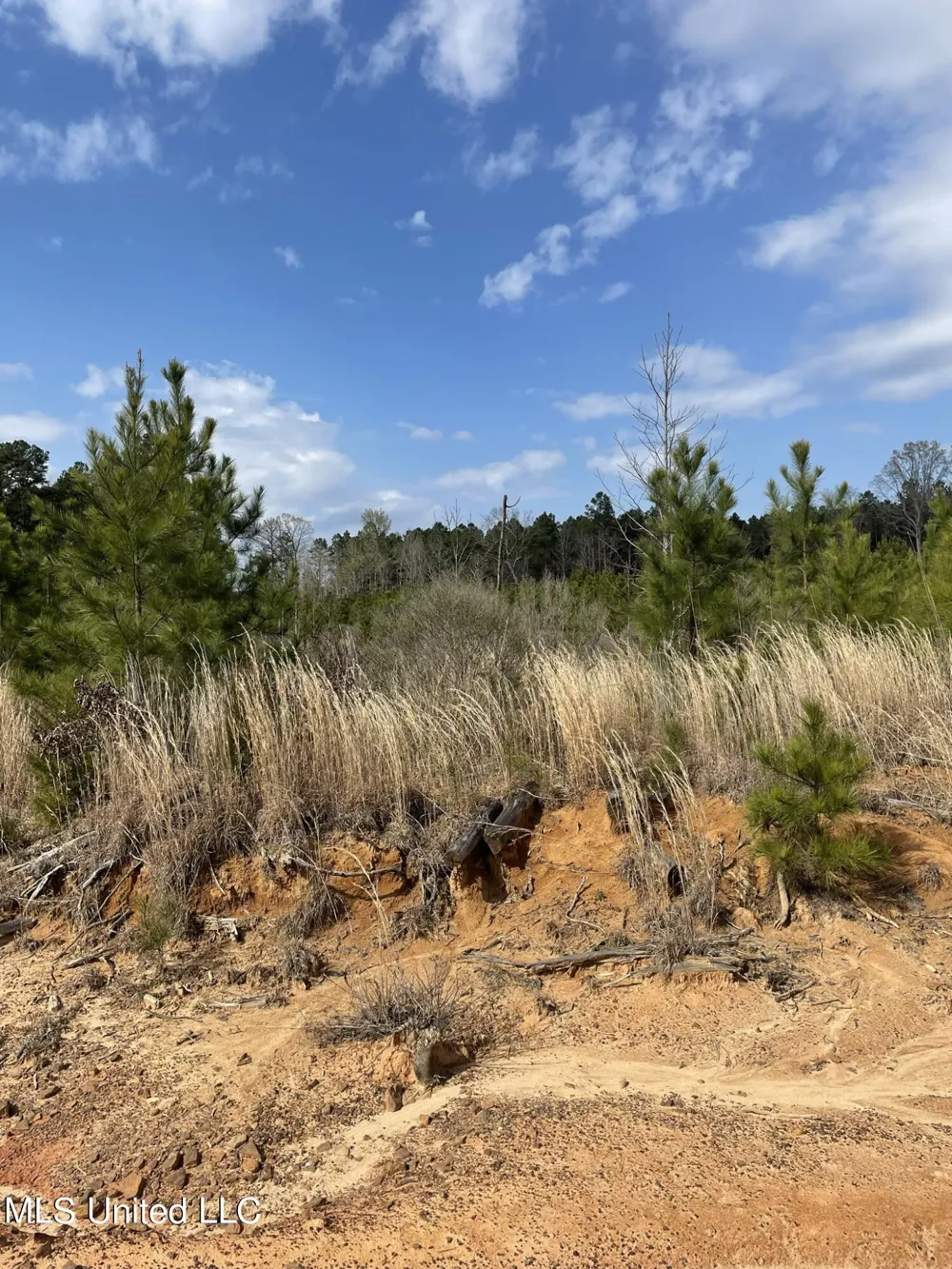 Co Rd 419 Calhoun City, MS 38916
