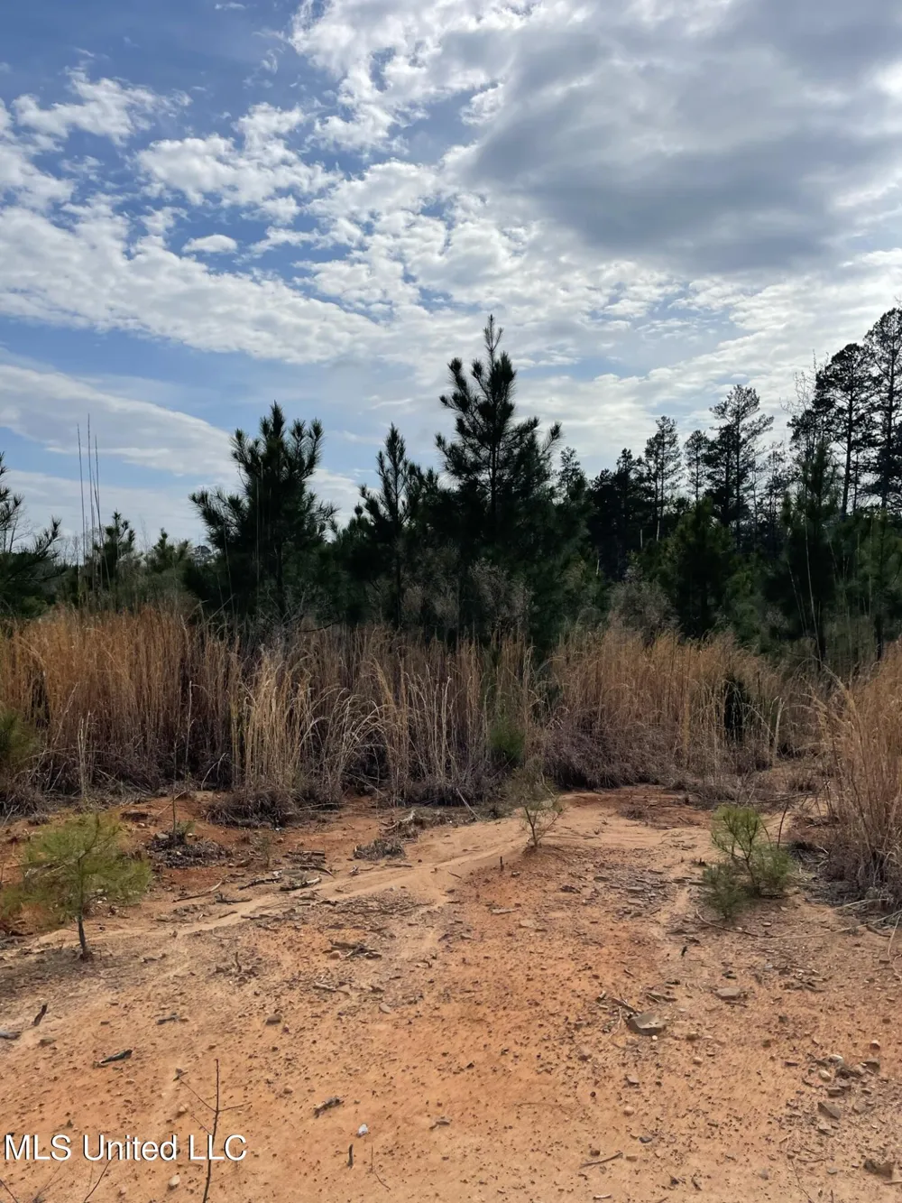 Co Rd 419 Calhoun City, MS 38916