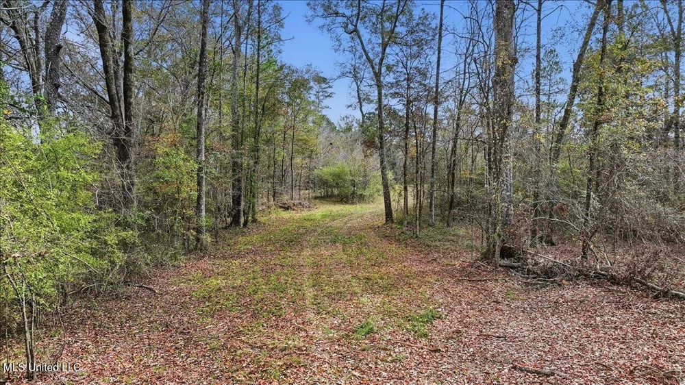 Highland Drive Drive Florence, MS 39073