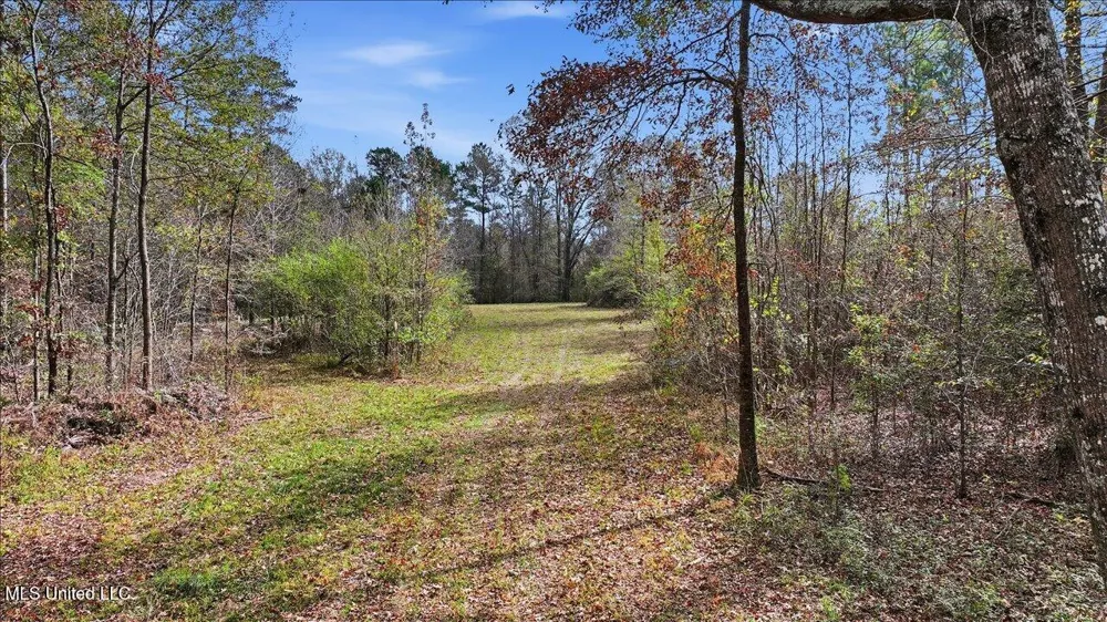 Highland Drive Drive Florence, MS 39073