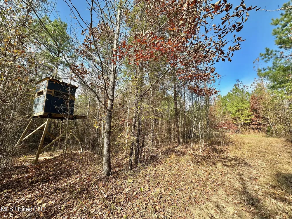 3 County Road 3122 McCool, MS 39108