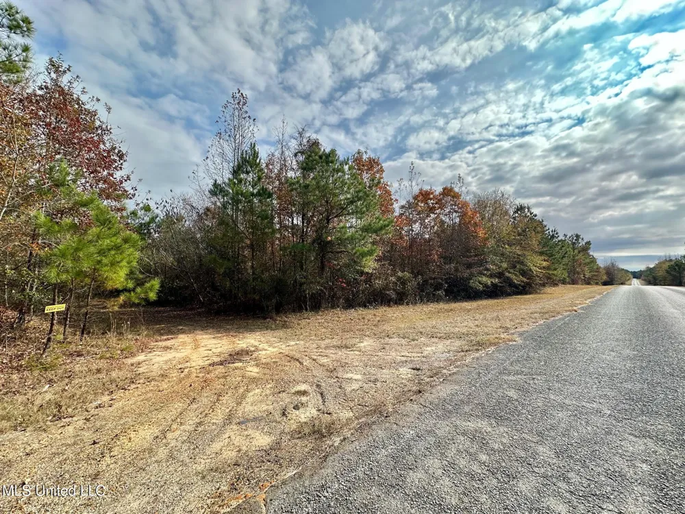 3 County Road 3122 McCool, MS 39108