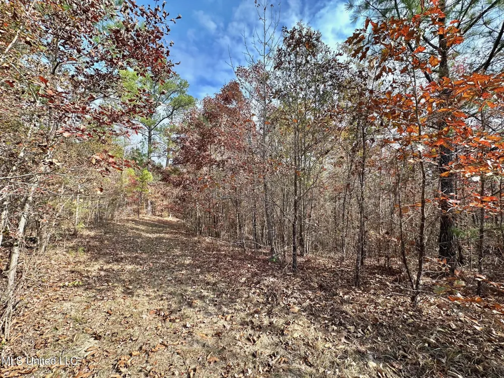 3 County Road 3122 McCool, MS 39108