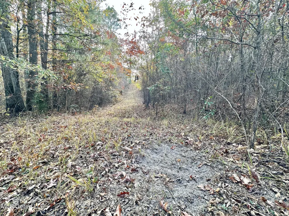 3 County Road 3122 McCool, MS 39108