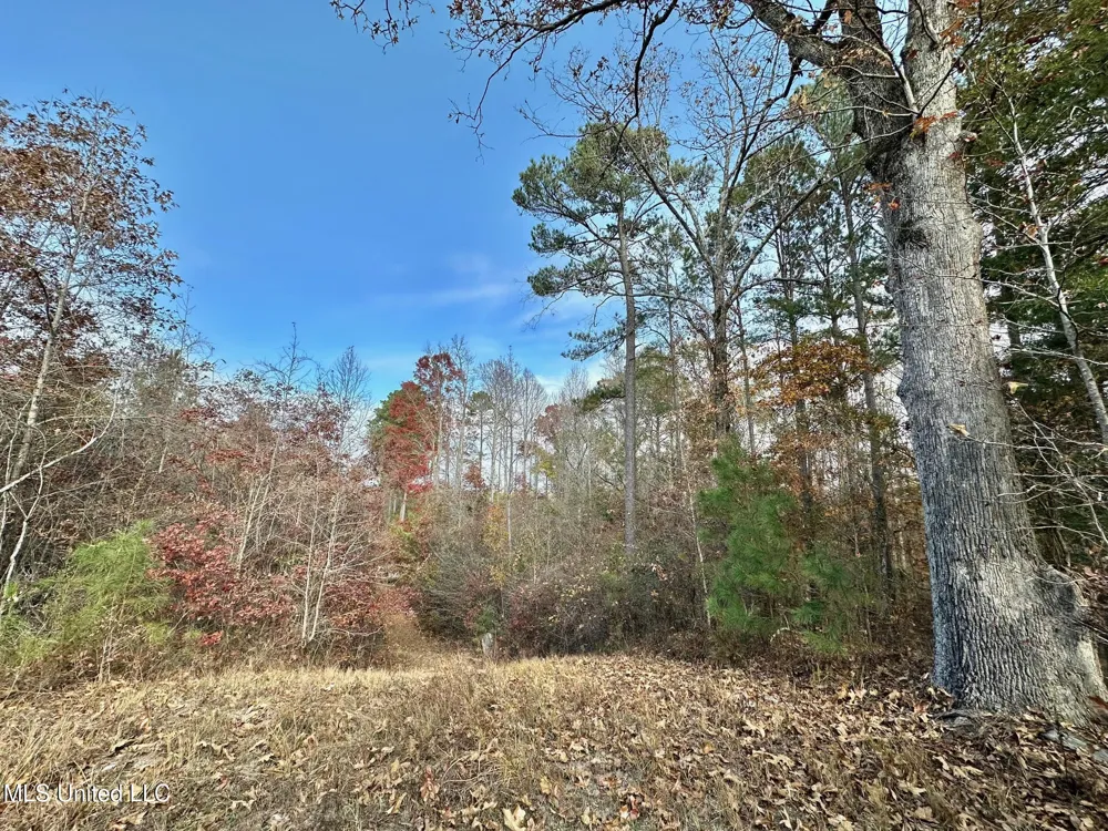3 County Road 3122 McCool, MS 39108