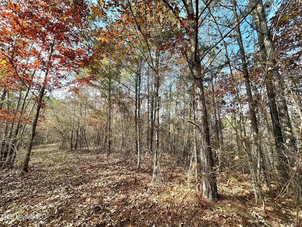 3 County Road 3122 McCool, MS 39108