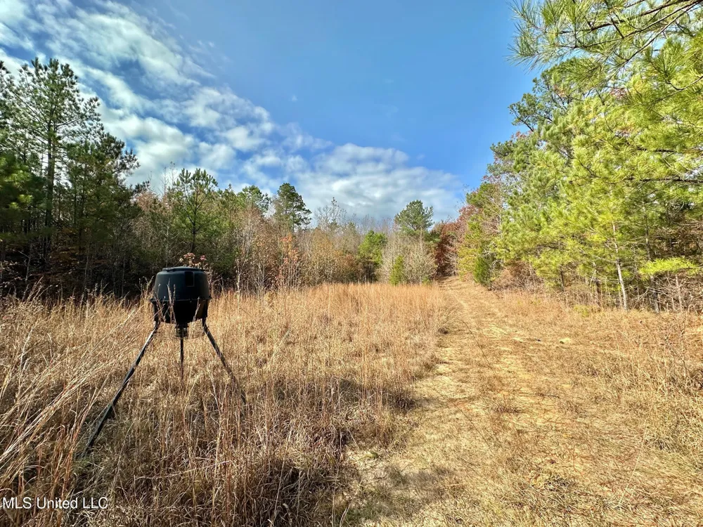 3 County Road 3122 McCool, MS 39108
