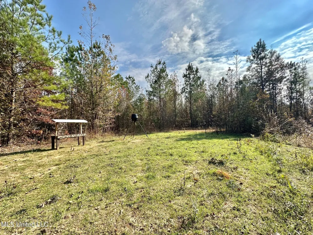 3 County Road 3122 McCool, MS 39108
