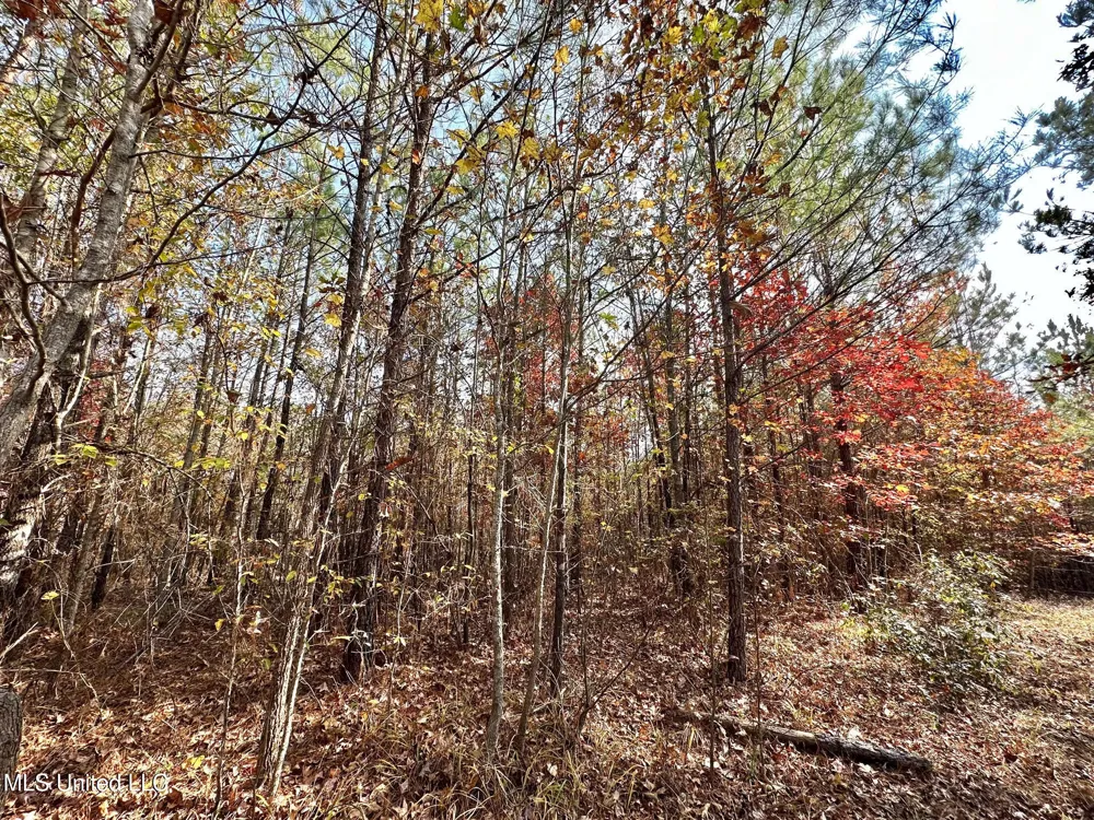 3 County Road 3122 McCool, MS 39108