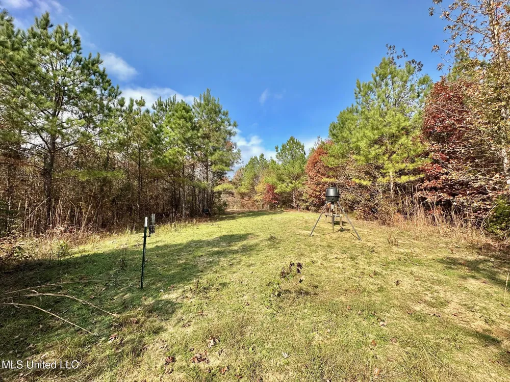 3 County Road 3122 McCool, MS 39108