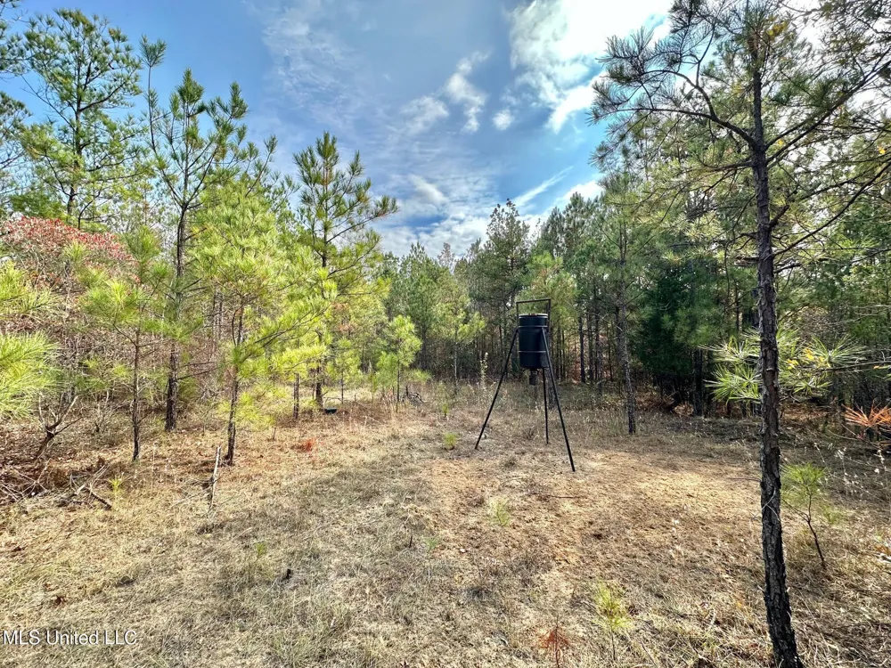 3 County Road 3122 McCool, MS 39108