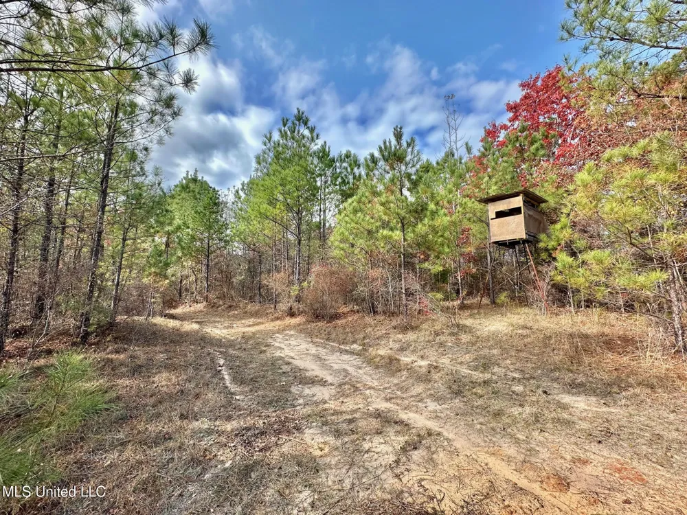 3 County Road 3122 McCool, MS 39108