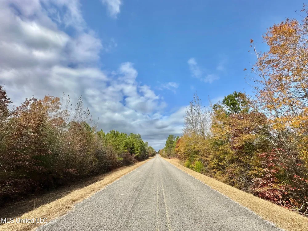3 County Road 3122 McCool, MS 39108