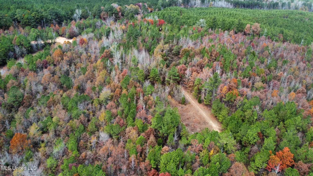 3 County Road 3122 McCool, MS 39108
