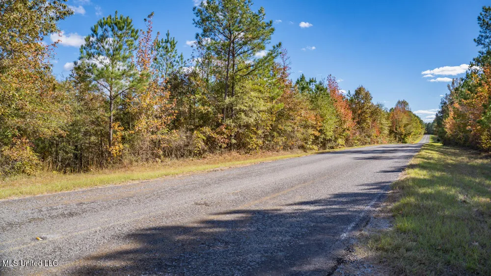 3 County Road 3122 McCool, MS 39108