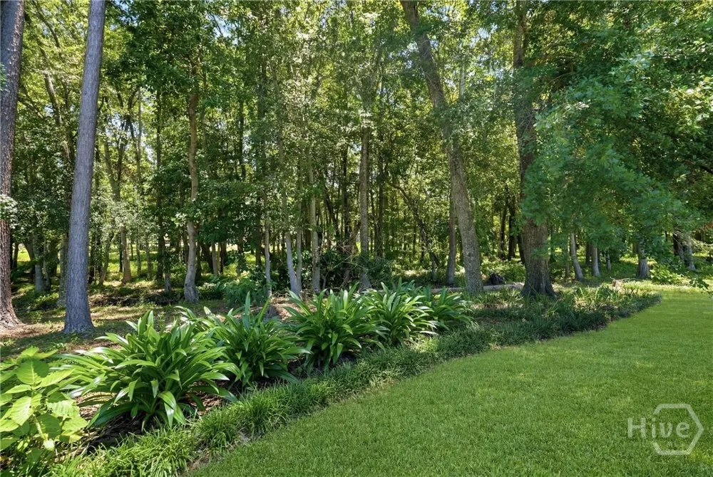 863 Macon Street Ludowici, GA 31316