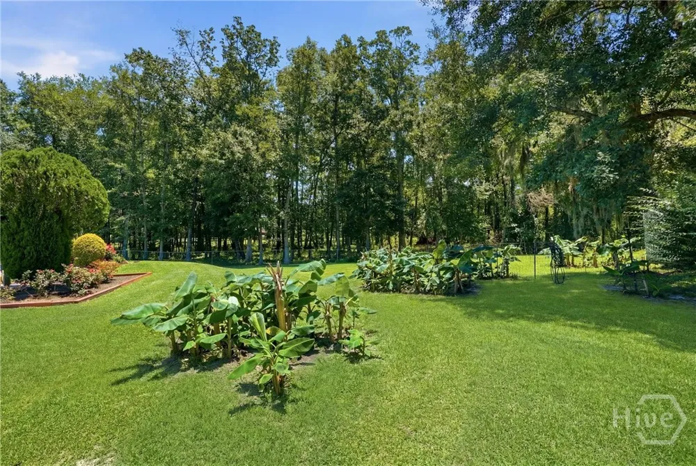 863 Macon Street Ludowici, GA 31316