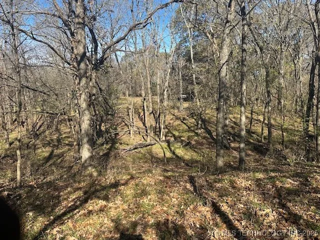 Hickory Hill Road Atoka, OK 74525