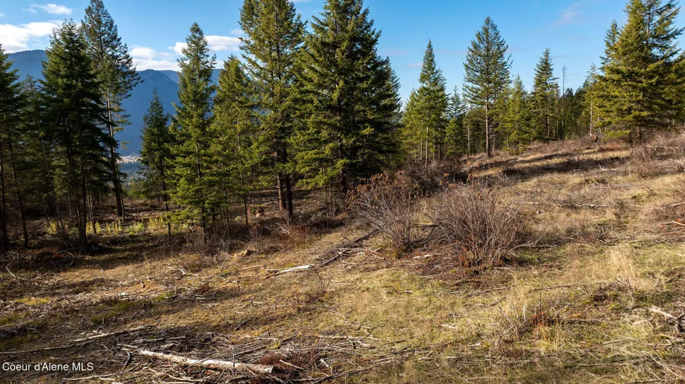 773 Cougar Loop Clark Fork, ID 83811