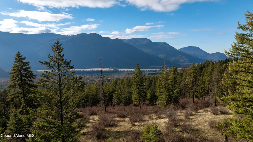 773 Cougar Loop Clark Fork, ID 83811