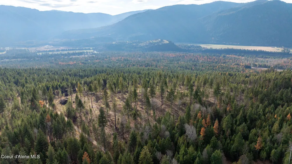 773 Cougar Loop Clark Fork, ID 83811