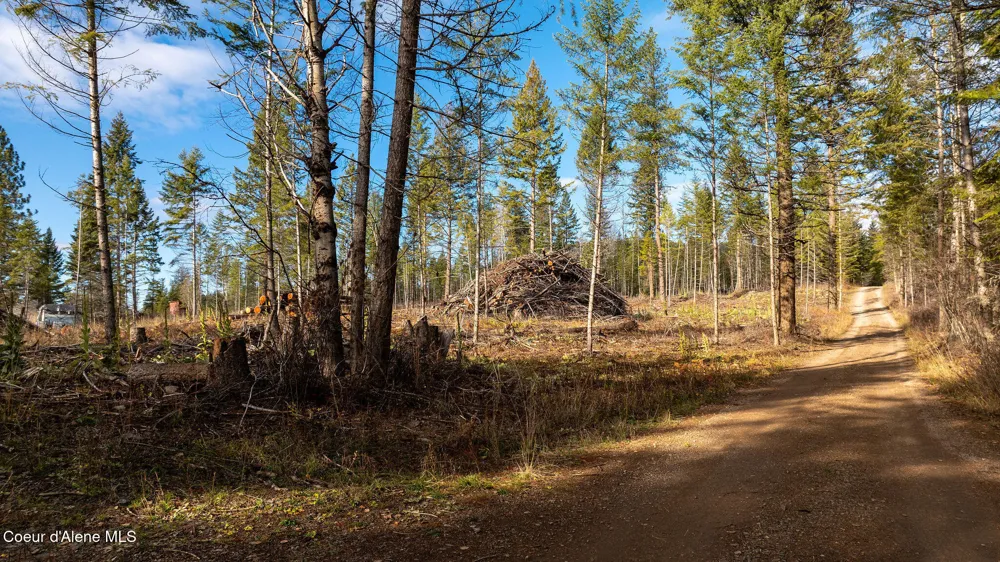 773 Cougar Loop Clark Fork, ID 83811