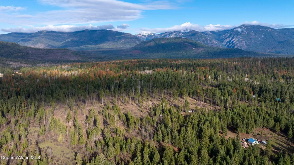 773 Cougar Loop Clark Fork, ID 83811