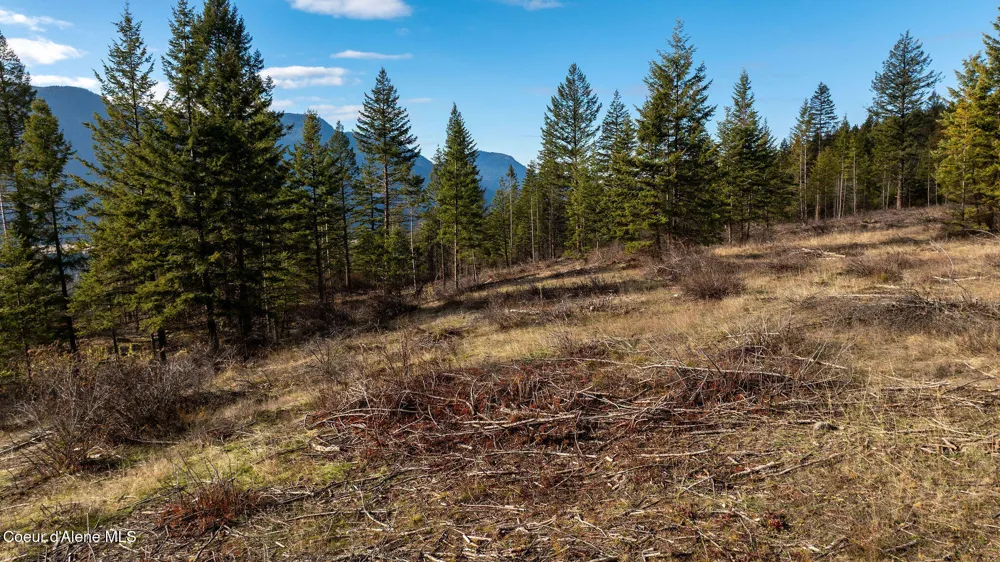 773 Cougar Loop Clark Fork, ID 83811
