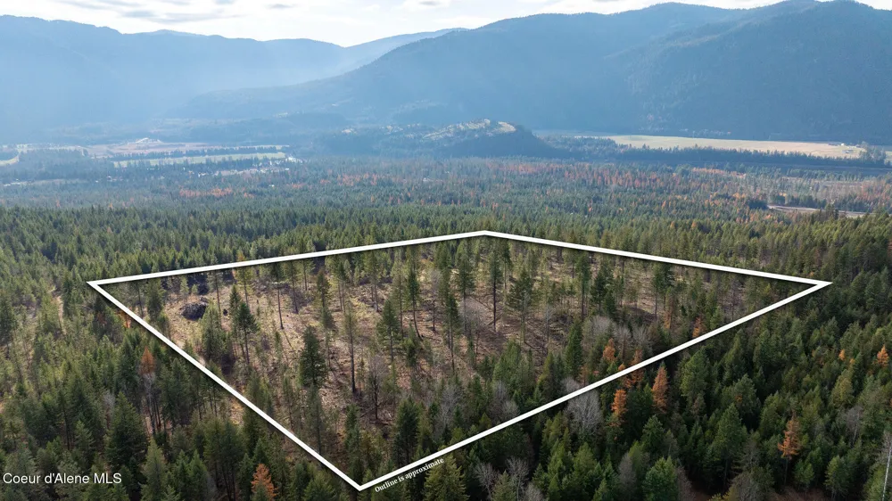 773 Cougar Loop Clark Fork, ID 83811