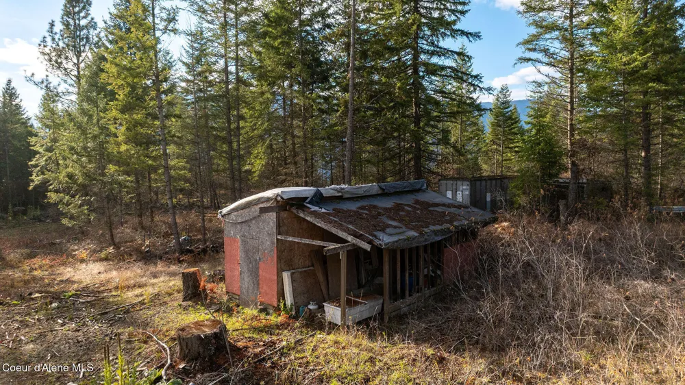 773 Cougar Loop Clark Fork, ID 83811