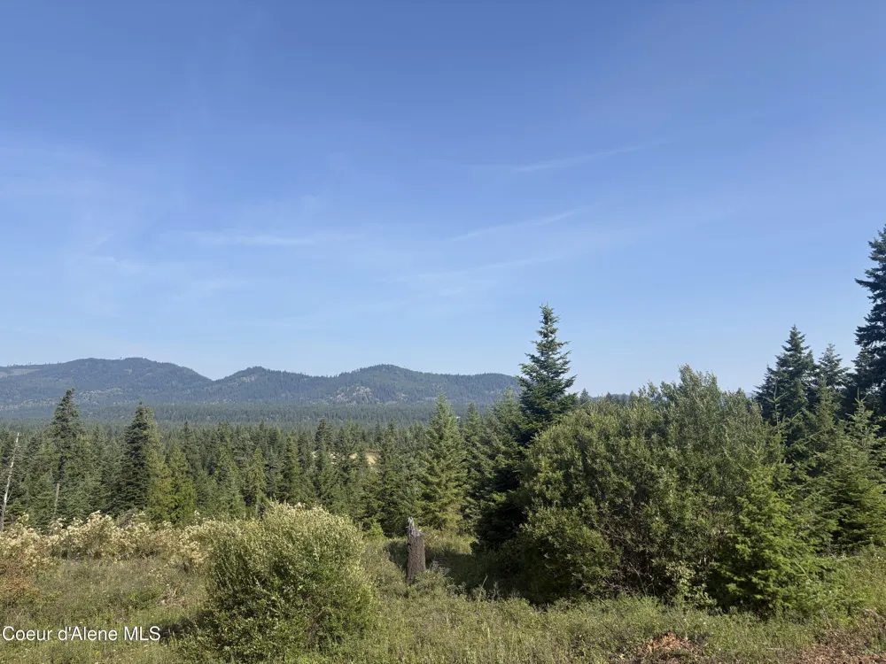 L5 Gemini Lane Rathdrum, ID 83858
